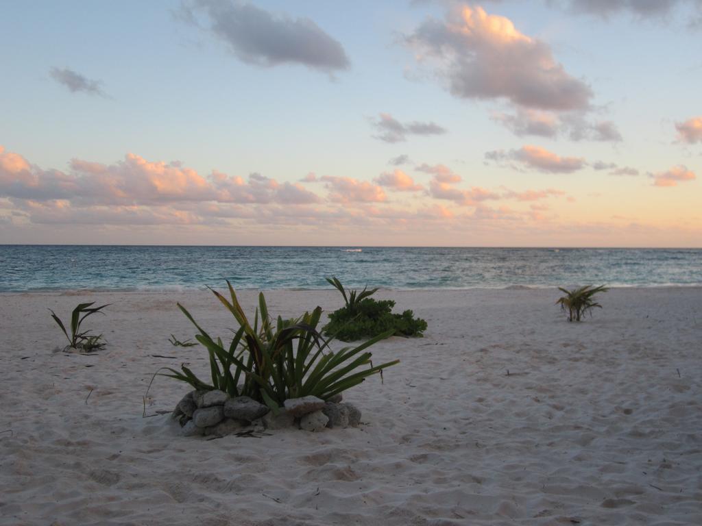 Appart Depa Center Hotel Playa del Carmen Bilik gambar